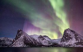 Senja Living